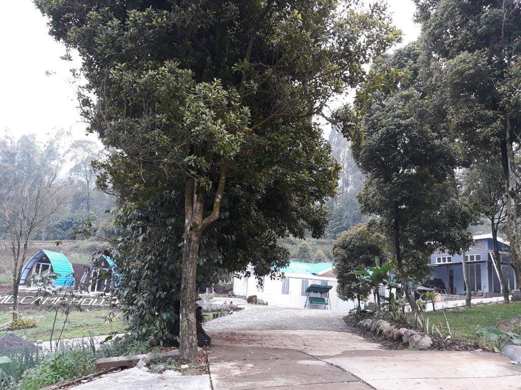 Отель Bromo Camp House Экстерьер фото